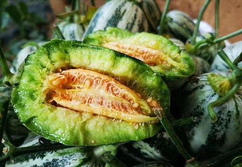 山东两位网红吃瓜视频播放,视频播放量爆表！