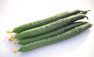 山东两位网红吃瓜视频播放,视频播放量爆表！