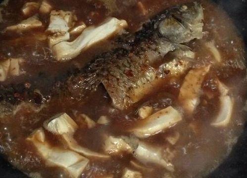 小鲫瓜鱼能炖着吃吗视频,家常炖鱼教程大公开