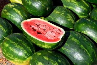 瓜怎么吃更好吃呢图片视频,解锁美味新吃法，图片视频教你轻松变厨神