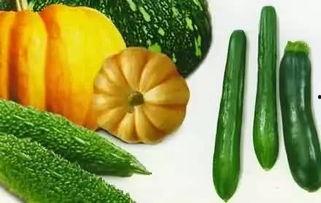 瓜怎么吃更好吃呢图片视频,解锁美味新吃法，图片视频教你轻松变厨神