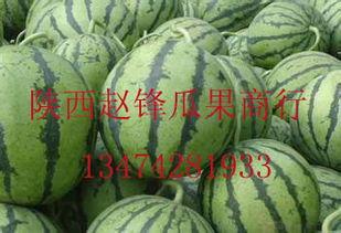 河马吃西瓜哈密瓜视频,西瓜哈密瓜盛宴大挑战