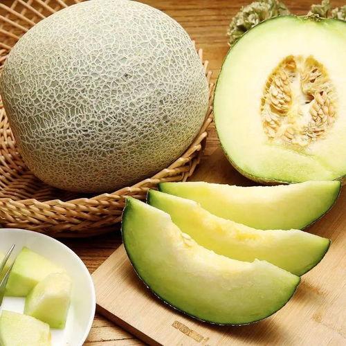 金丝鼠可以吃蜜瓜吗视频,美味还是禁忌？