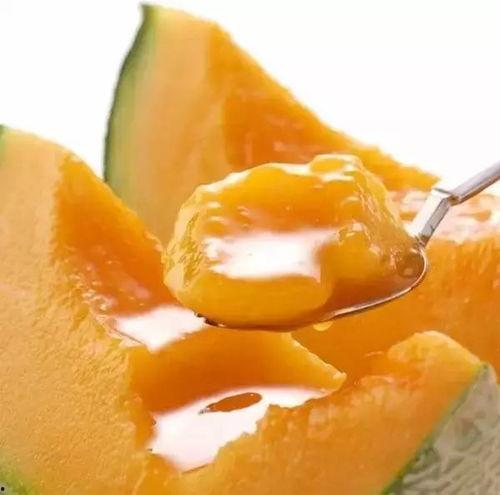 金丝鼠可以吃蜜瓜吗视频,美味还是禁忌？