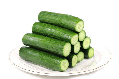 小瓜吃长长的东西视频,趣味横生！