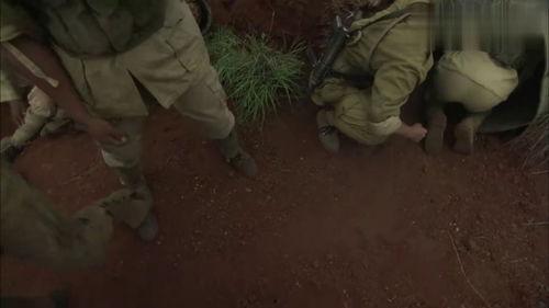 迷龙吃瓜摔死人了吗视频,一幕摔亡事件引发社会关注