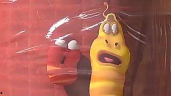 兔子们吃瓜的视频,欢乐时光瞬间捕捉