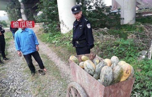 庄河23年吃瓜事件视频,一场引发热议的乡村奇闻录