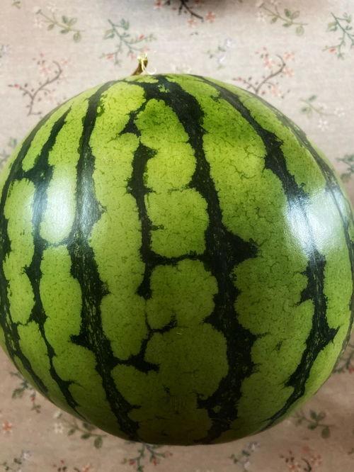 吃瓜视频大全表演,笑料百出，欢乐无限