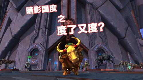 魔兽世界女玩家吃瓜视频,揭秘游戏圈幕后故事