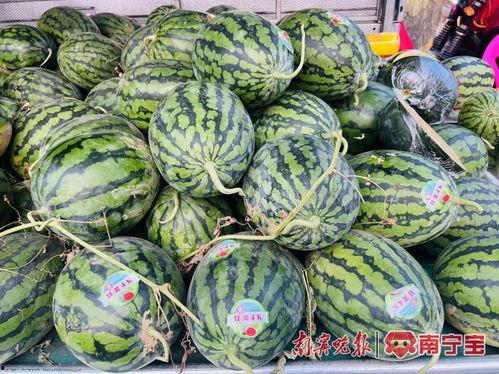 广西南宁校园吃瓜视频,一场校园吃瓜视频引发的校园热议