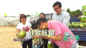 天津静海吃瓜视频,一场网络热议的幕后揭秘