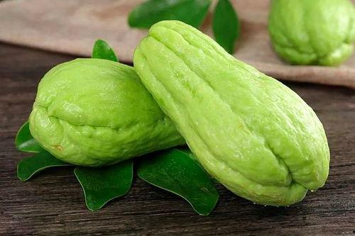 蝈蝈吃佛手瓜好吗视频,蝈蝈食用佛手瓜的适宜性探讨