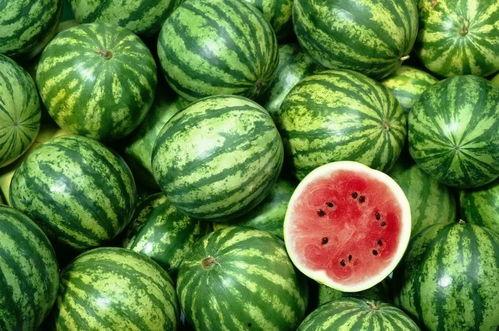 隐藏吃瓜视频大全最新,隐藏吃瓜视频大全，带你一探究竟！