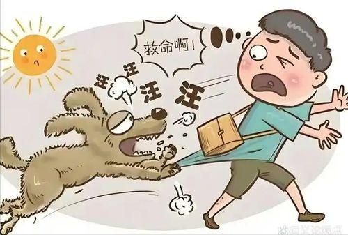 吵架打架被拦住吃瓜视频,围观者目睹吵架打架被及时制止