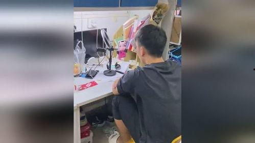 女生在宿舍的吃瓜视频,揭秘女生宿舍里的美食分享趣事