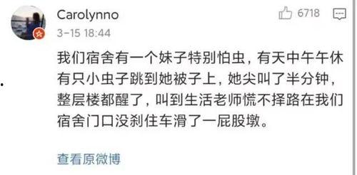 女生在宿舍的吃瓜视频,揭秘女生宿舍里的美食分享趣事