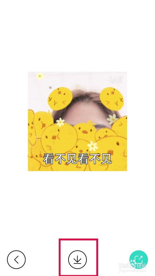 吃瓜表情包大赛视频大全,笑料横生，欢乐无限