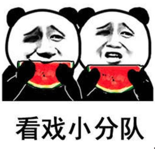 吃瓜表情包大赛视频大全,笑料横生，欢乐无限