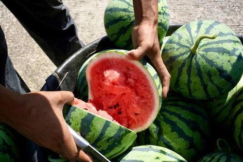 前排吃瓜小视频,揭秘娱乐圈幕后风云