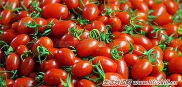 圣女吃瓜视频,揭秘娱乐圈幕后真相