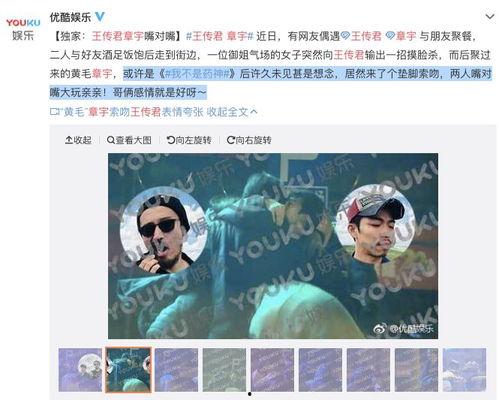 吃大瓜视频配音乐蒙古歌曲,大瓜视频中的蒙古风情音乐之旅