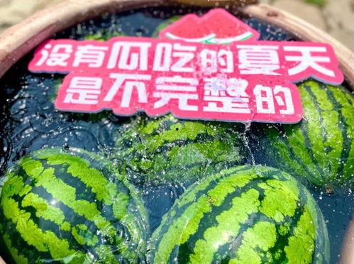 琉璃吃瓜现场视频全集,全程揭秘娱乐圈幕后风云