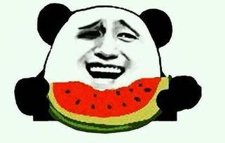 凉凉吃瓜完整视频,全程视频回顾与深度解析