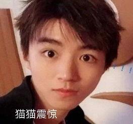 明星吃瓜王俊凯视频,明星间的趣味互动引网友热议