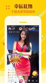 聊八卦吃瓜直播视频,聊八卦、吃瓜不停歇的直播盛宴