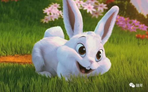 兔宝妮吃瓜视频,揭秘娱乐圈幕后故事