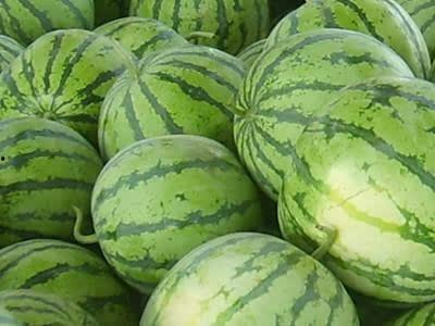 奶瓜如何吃的视频教程,视频教程教你美味新吃法