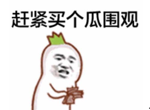 吃瓜群众拜年是真的吗视频,网络拜年新潮流还是虚假炒作？