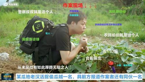 抓犯人的吃瓜群众视频在线观看,吃瓜群众围观抓捕犯人，视频记录惊险瞬间
