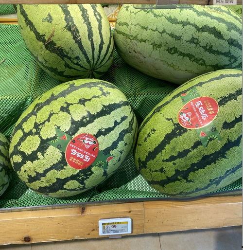 九龙坡区吃瓜事件视频,一场引发热议的网络风波