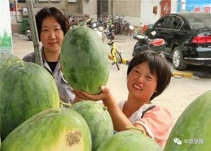 九龙坡区吃瓜事件视频,一场引发热议的网络风波