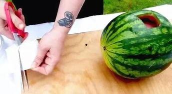 介休吃瓜真实的视频播放,视频播放背后的真实故事