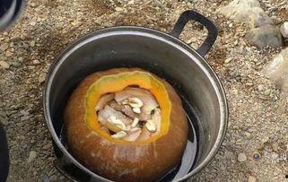 带你吃瓜当代美食视频,跟随“带你吃瓜”视频探索美食世界