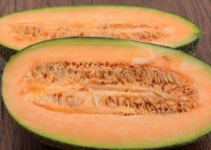 燕子吃哈密瓜视频大全播放,视频大全播放盛宴