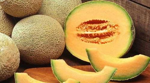 燕子吃哈密瓜视频大全播放,视频大全播放盛宴