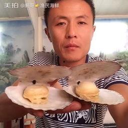 帅哥吃葫芦瓜的视频大全,帅哥挑战吃瓜大赛精彩瞬间大盘点