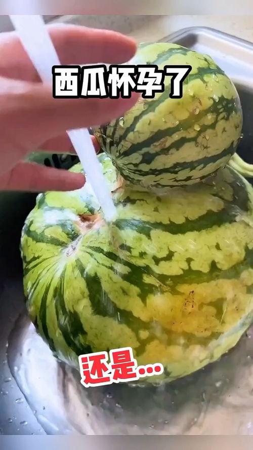 搞笑的人类吃瓜搞笑视频,人类吃瓜搞笑视频大盘点