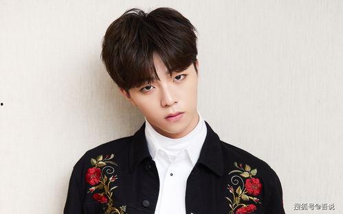 辽宁卫视吃瓜林彦俊视频,林彦俊吃瓜现场，趣味横生引网友热议