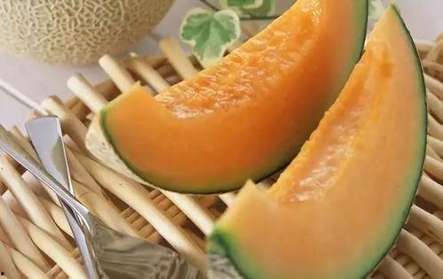 小徐一家吃哈密瓜视频大全,视频大全回顾