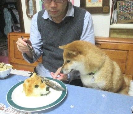 狗头吃瓜视频资源免费,免费视频资源带你笑翻天