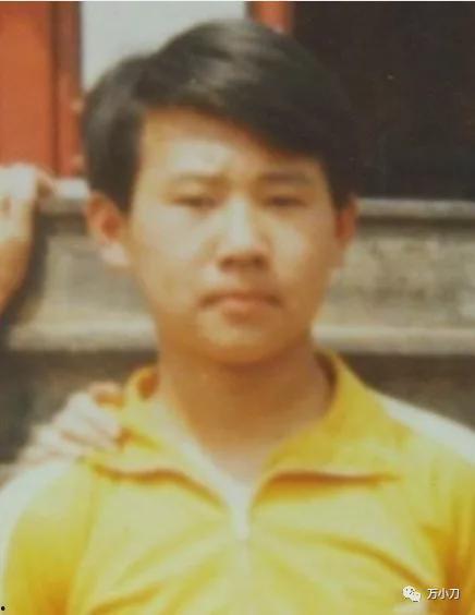 韩城西塬吃瓜事件始末视频,一场网络热议的始末揭秘