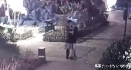 衢州吃瓜事件真相视频曝光,揭秘背后惊人内幕